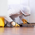 best Effective Pest Control Methods