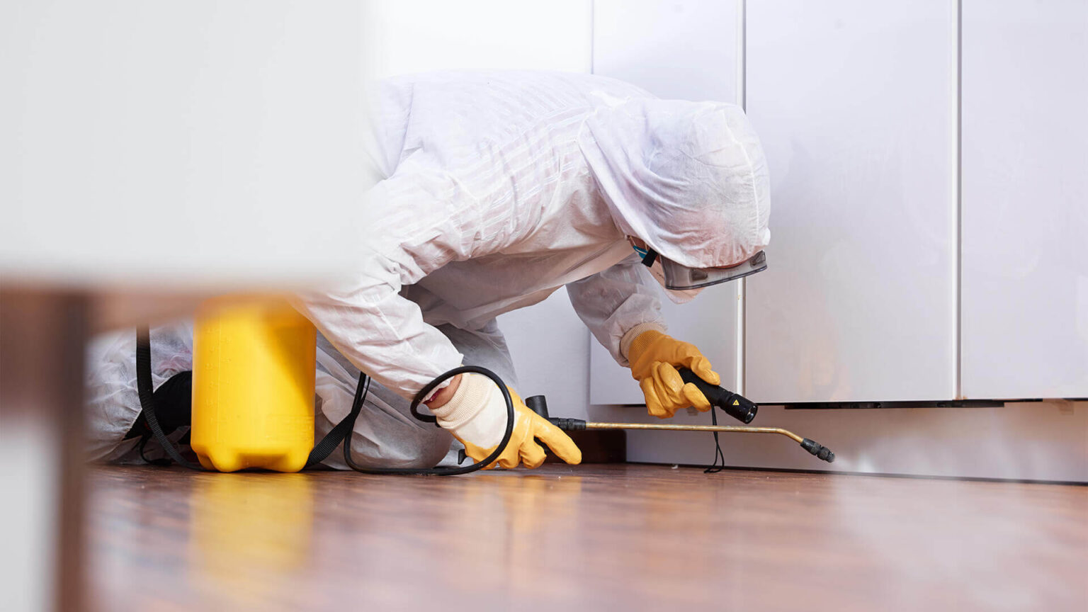 best Effective Pest Control Methods