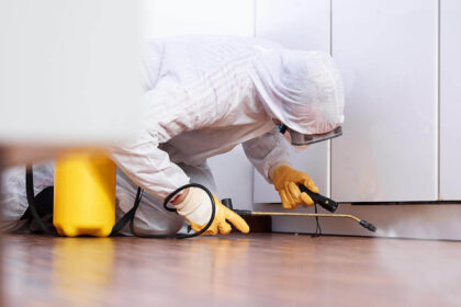 best Effective Pest Control Methods